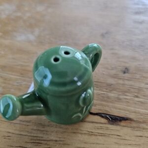 Green Ceramic Watering Can Salt Shaker